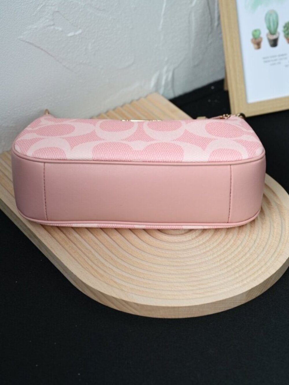 ❤️COACH Teri Shoulder Bag In Signature Canvas CAL51 - Picture 4 of 9